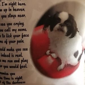 Meet your Posher, Jane